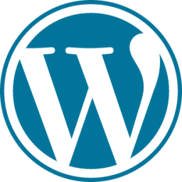 Hire Best WordPress Developers